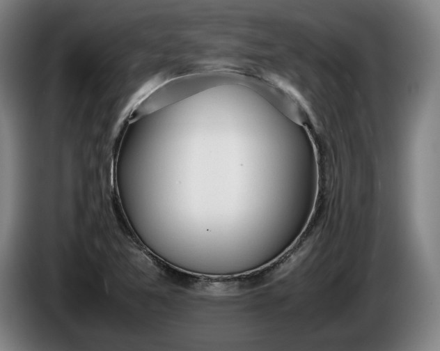 X0000085791365200703301442