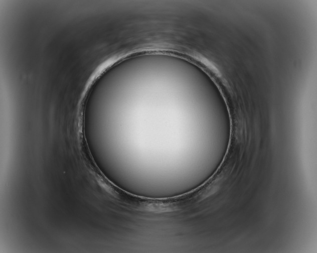 X0000085791366200703301442
