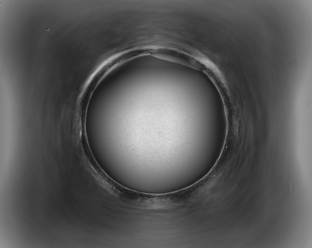 X0000085791368200703301442