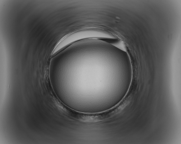 X0000085791369200703301442