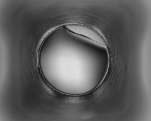 X0000085791371200703301442