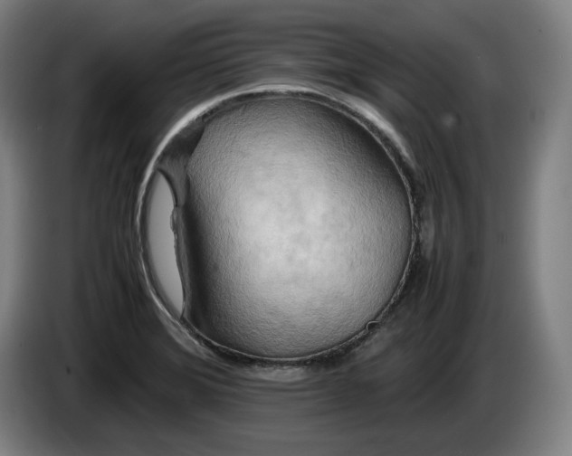 X0000085791372200703301442