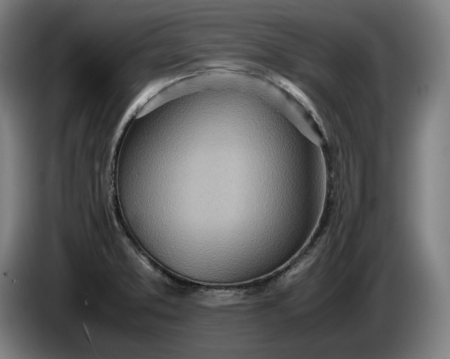 X0000085791373200703301442