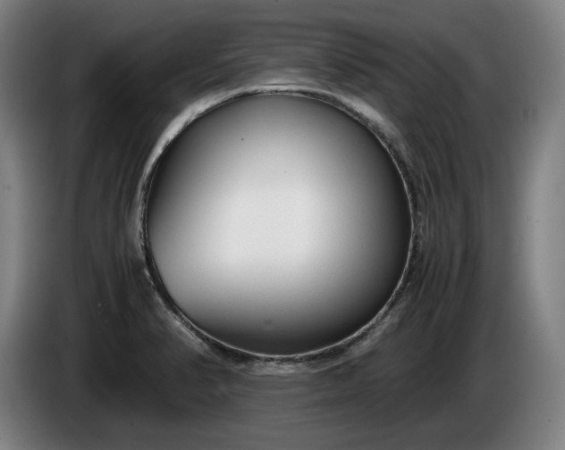 X0000085791374200703301442