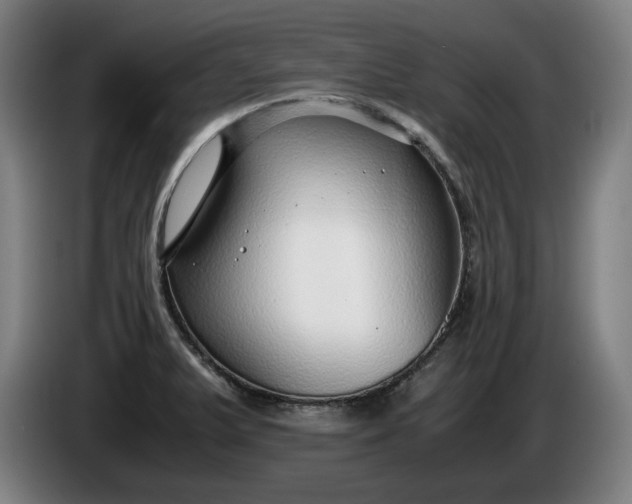 X0000085791375200703301442