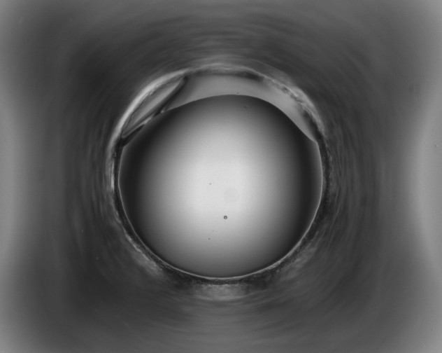 X0000085791376200703301442