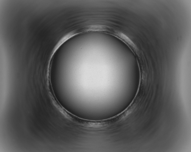 X0000085791378200703301442