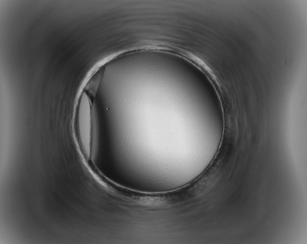 X0000085791379200703301442