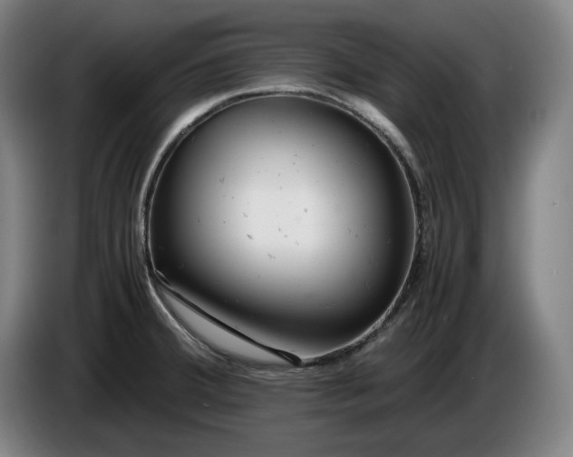X0000085791380200703301442