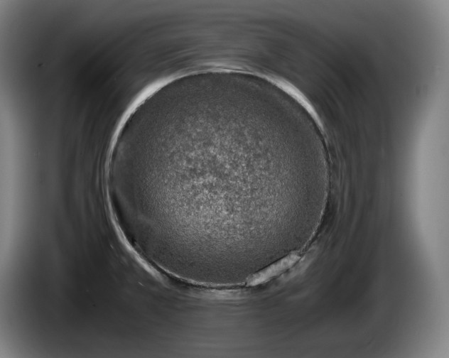X0000085791381200703301442