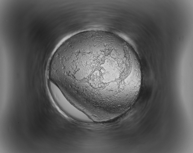 X0000085791383200703301442