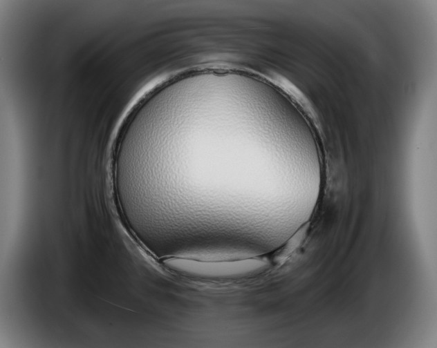 X0000085791384200703301442