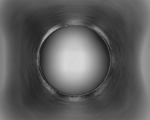X0000085791386200703301442