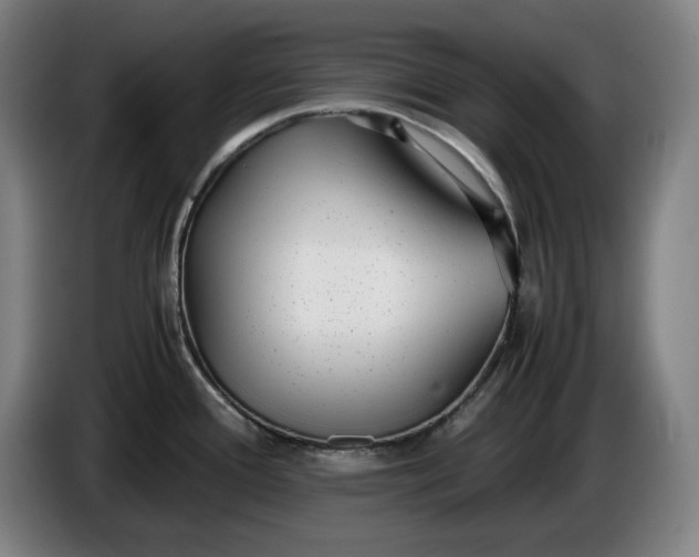X0000085791388200703301442