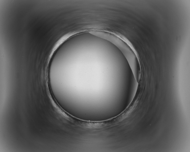 X0000085791389200703301441