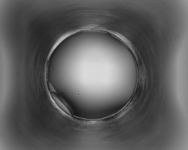 X0000085791390200703301441