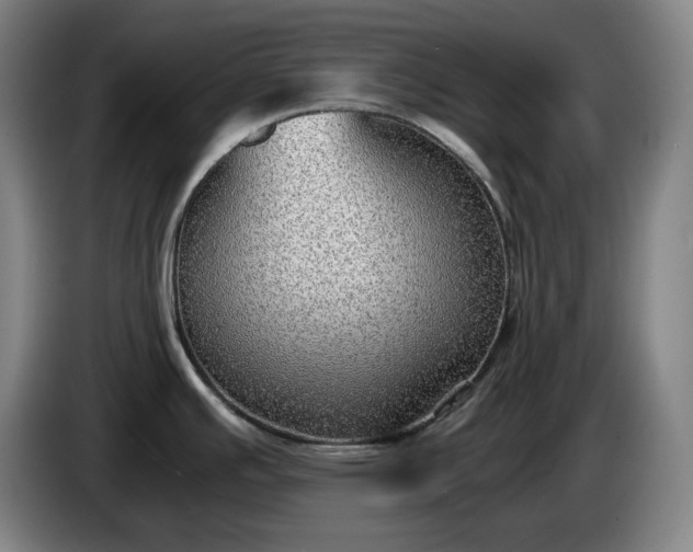 X0000085791391200703301441