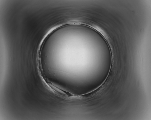 X0000085791392200703301441