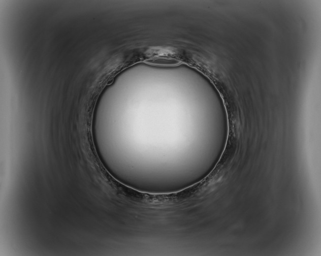 X0000085791393200703301441
