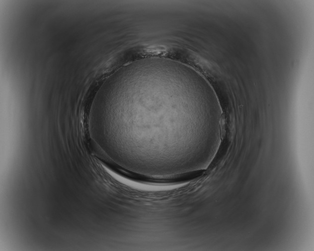 X0000085791394200703301441