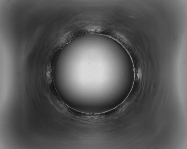 X0000085791396200703301441