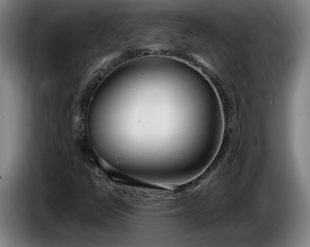 X0000085791398200703301441