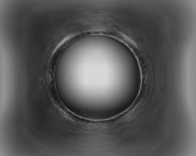 X0000085791400200703301441