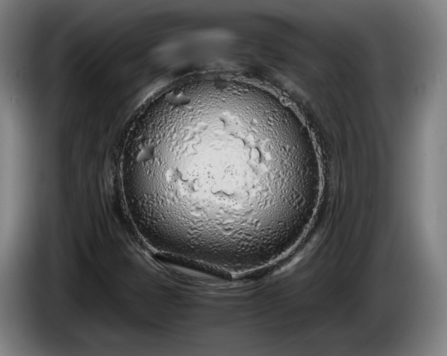 X0000085791401200703301441