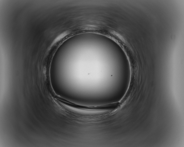 X0000085791402200703301441