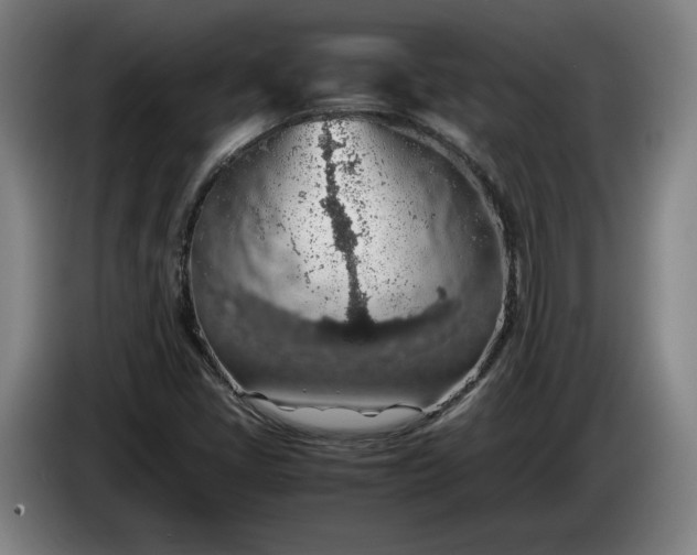 X0000085791405200703301441