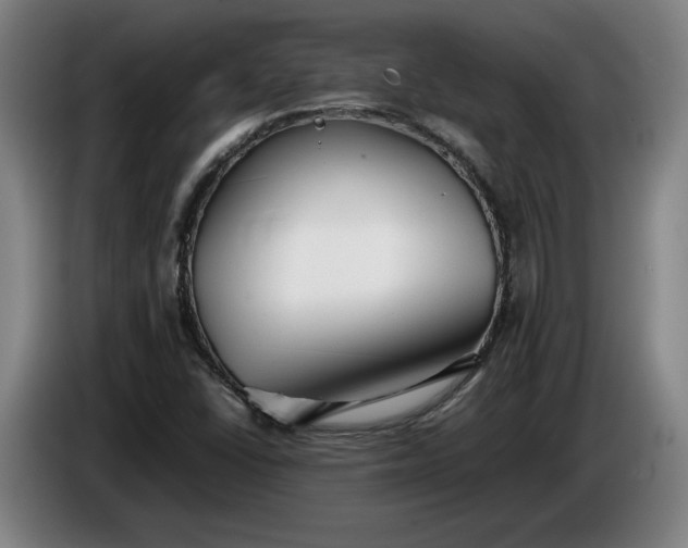 X0000085791406200703301441