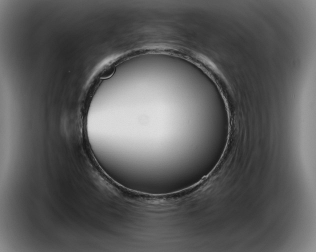 X0000085791408200703301441