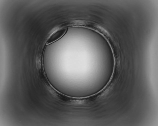 X0000085791409200703301441
