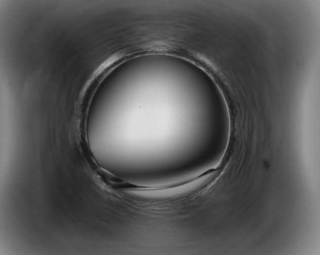 X0000085791410200703301441