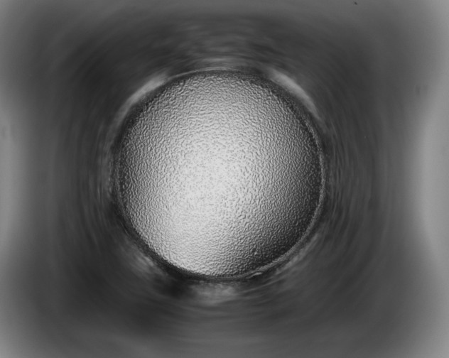 X0000085791411200703301441