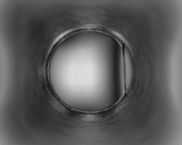 X0000085791412200703301441