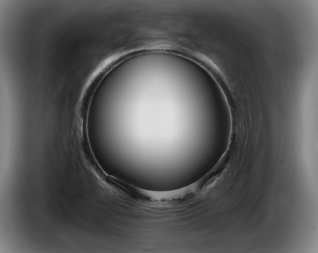 X0000085791414200703301441