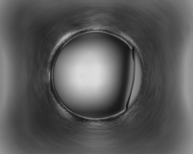 X0000085791416200703301441