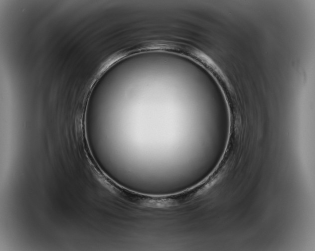 X0000085791417200703301441