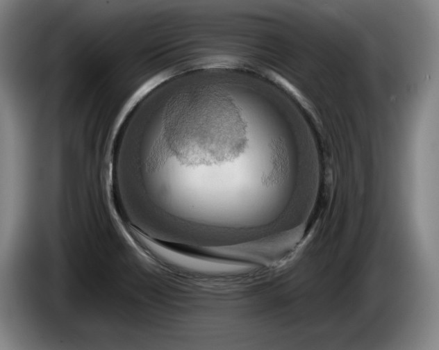 X0000085791418200703301441