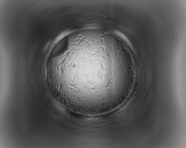 X0000085791419200703301441