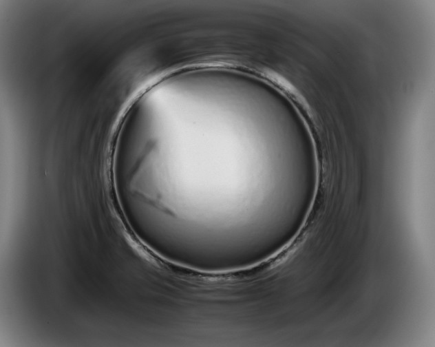 X0000085791421200703301441
