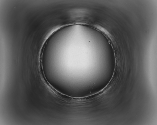 X0000085791423200703301441