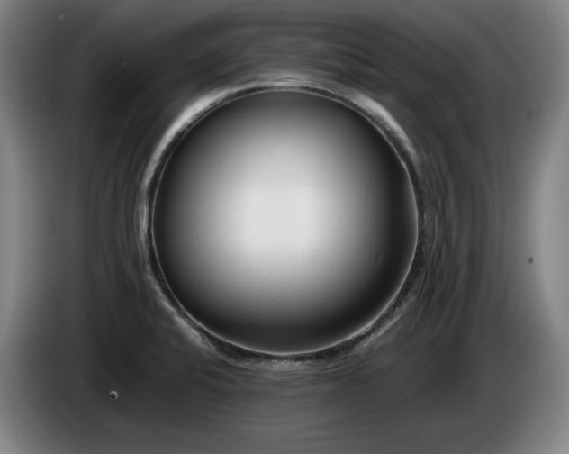 X0000085791424200703301441
