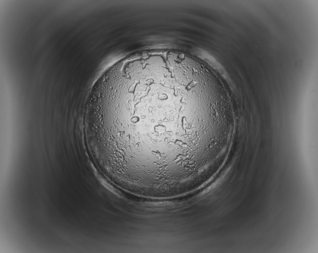 X0000085791425200703301441