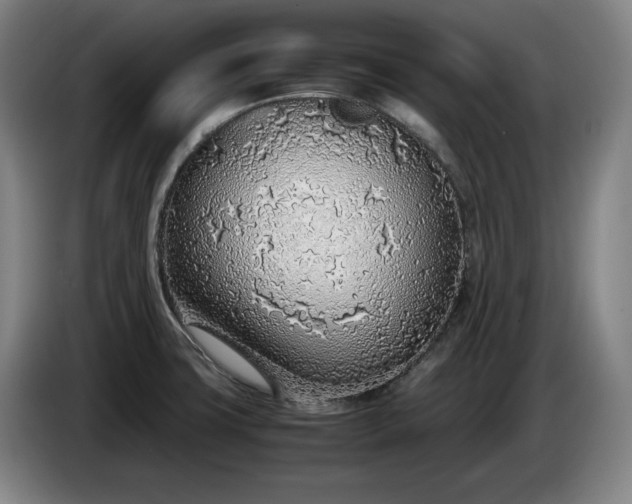 X0000085791427200703301441