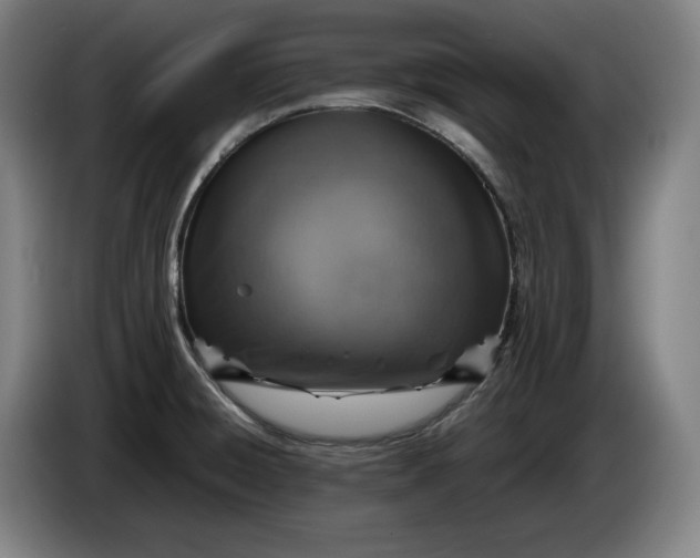 X0000085791428200703301441