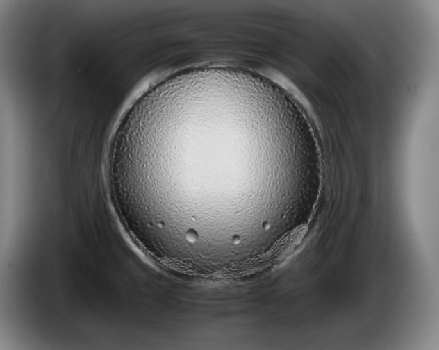 X0000085791429200703301441