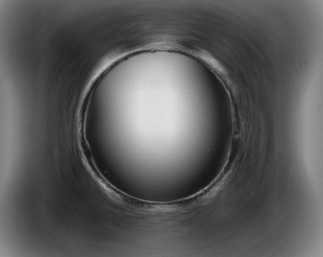 X0000085791430200703301441