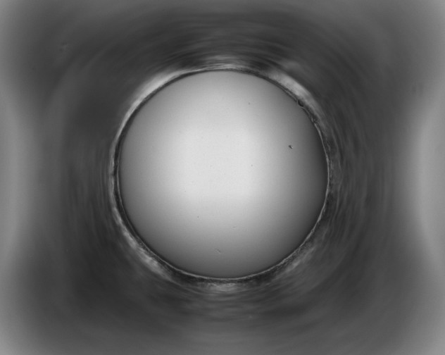 X0000085791431200703301441